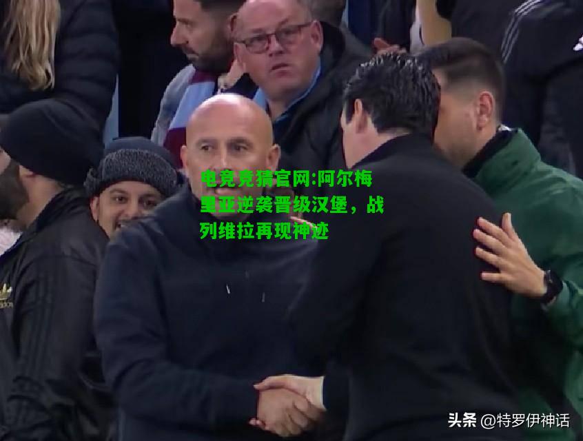 电竞竞猜官网:阿尔梅里亚逆袭晋级汉堡，战列维拉再现神迹