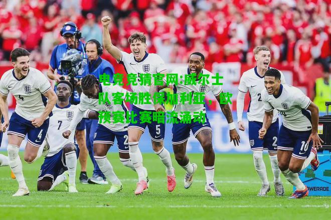 电竞竞猜官网:威尔士队客场胜保加利亚，欧预赛比赛暗流涌动