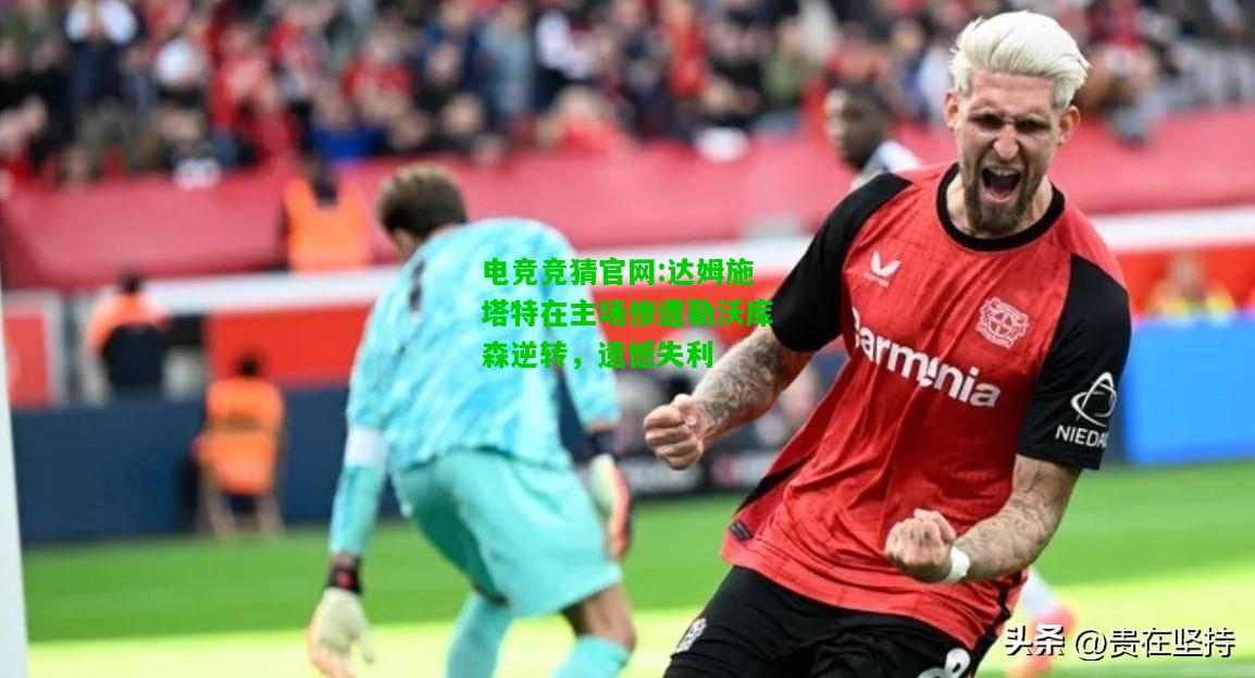 电竞竞猜官网:达姆施塔特在主场惨遭勒沃库森逆转，遗憾失利