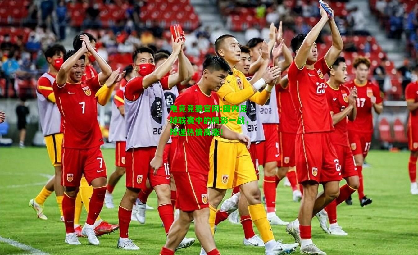 电竞竞猜官网:国内足球联赛中的精彩一战，球迷热情高涨！