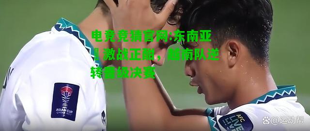 电竞竞猜官网:东南亚盃激战正酣，越南队逆转晋级决赛