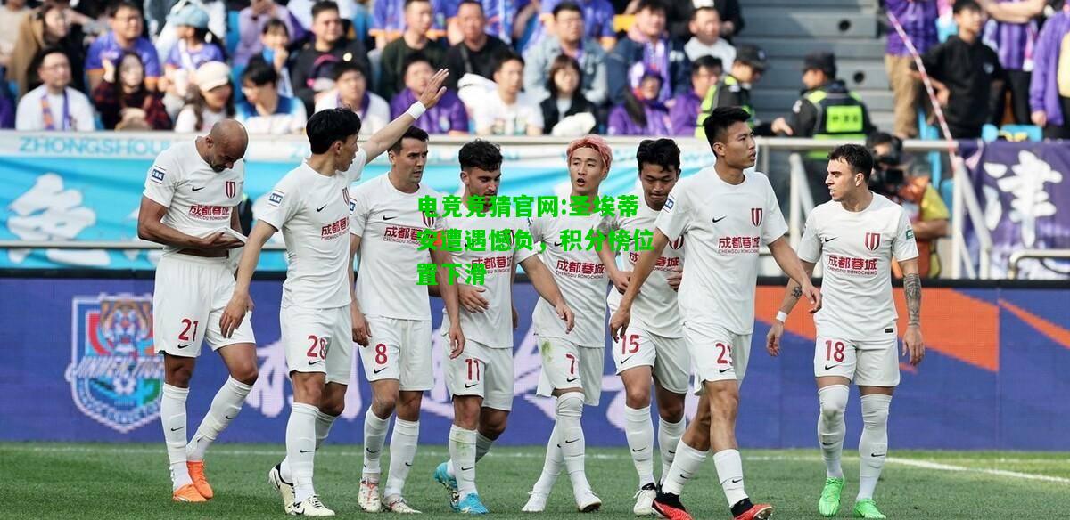 电竞竞猜官网:圣埃蒂安遭遇憾负，积分榜位置下滑