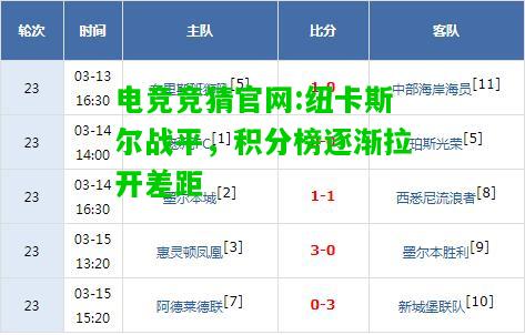 电竞竞猜官网:纽卡斯尔战平，积分榜逐渐拉开差距