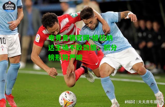 电竞竞猜官网:格拉纳达主场不敌劲旅，积分榜形势严峻