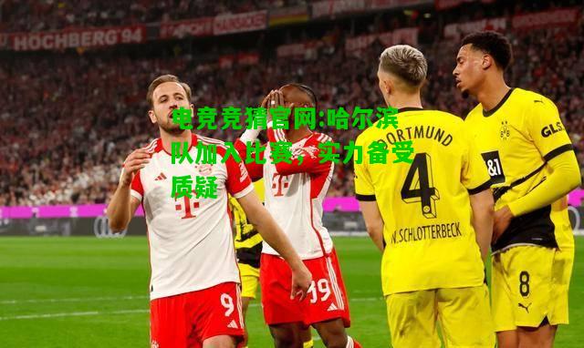 电竞竞猜官网:哈尔滨队加入比赛，实力备受质疑