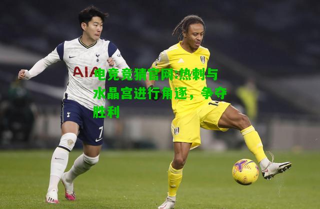 电竞竞猜官网:热刺与水晶宫进行角逐，争夺胜利