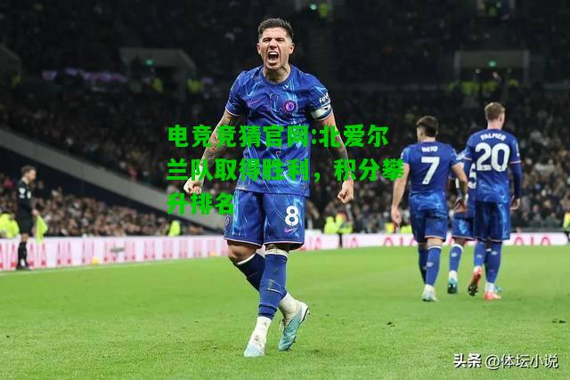 电竞竞猜官网:北爱尔兰队取得胜利，积分攀升排名