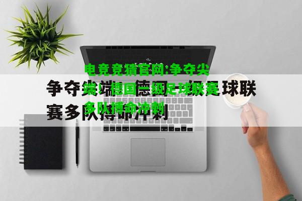 电竞竞猜官网:争夺尖端！德国一级足球联赛多队搏命冲刺