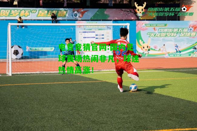 电竞竞猜官网:国内足球赛场热闹非凡，球迷热情高涨！