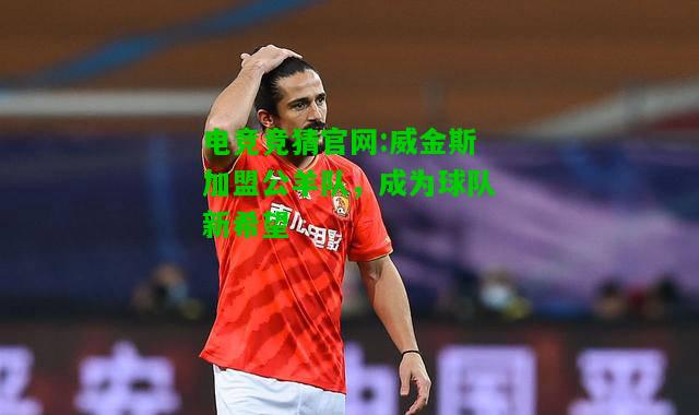 电竞竞猜官网:威金斯加盟公羊队，成为球队新希望